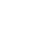 See The Forest Online