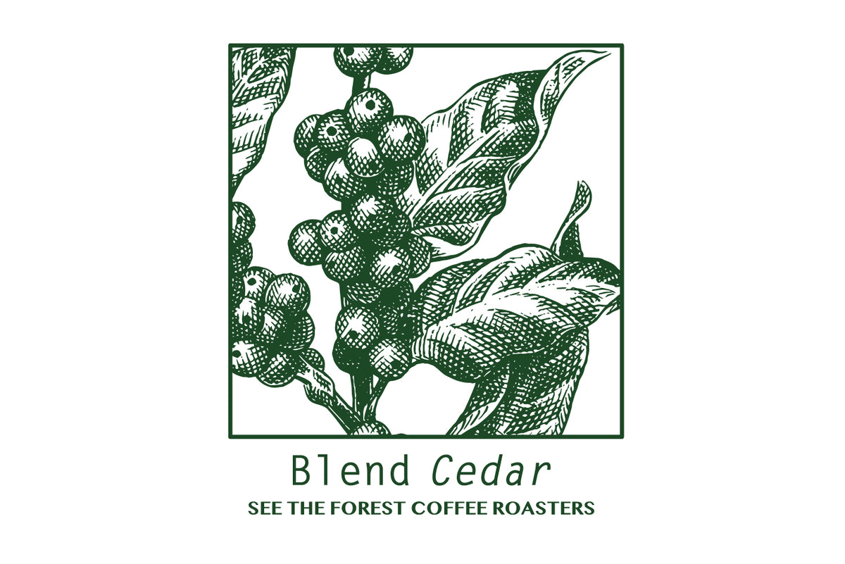ブレンド シダー 中深煎り (Blend Cedar)
